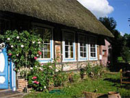 Die Elfenschule