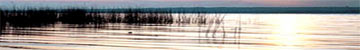 Schaalsee